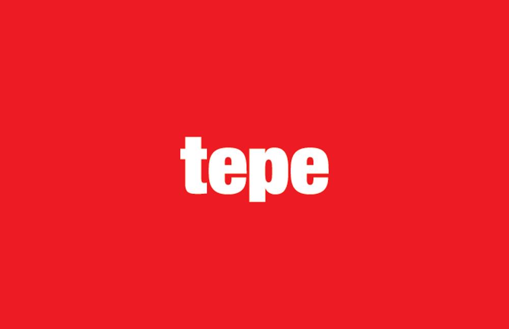 Tepe Group and consulting services